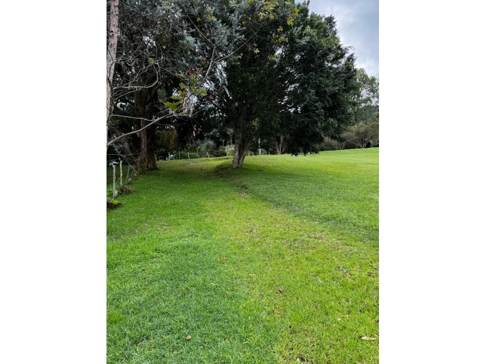 Lote en La Ceja, campestre en parcelación Con Agua de nacimiento