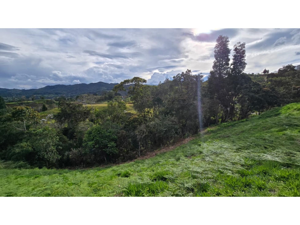 Lote de 2.774 m² en El Tablazo, Rionegro - 9 min del Aeropuerto — foto 5