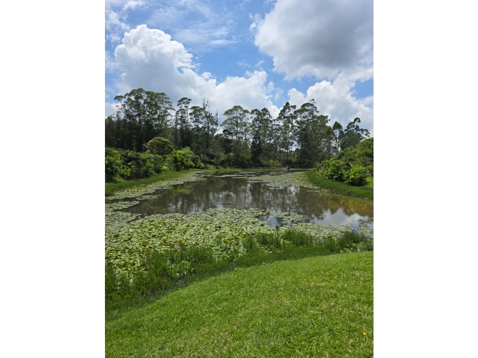 Lote de 1.904 m² en El Tablazo, Rionegro Parcelación con portería — foto 6