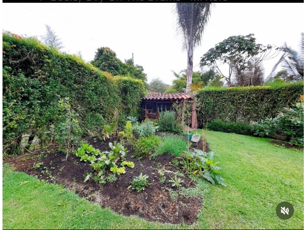 Casa en venta Alto de palmas Envigado — foto 6