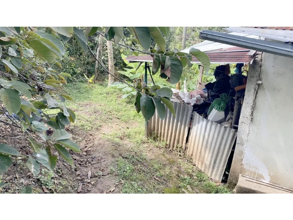 FINCA ARBELAEZ - 4