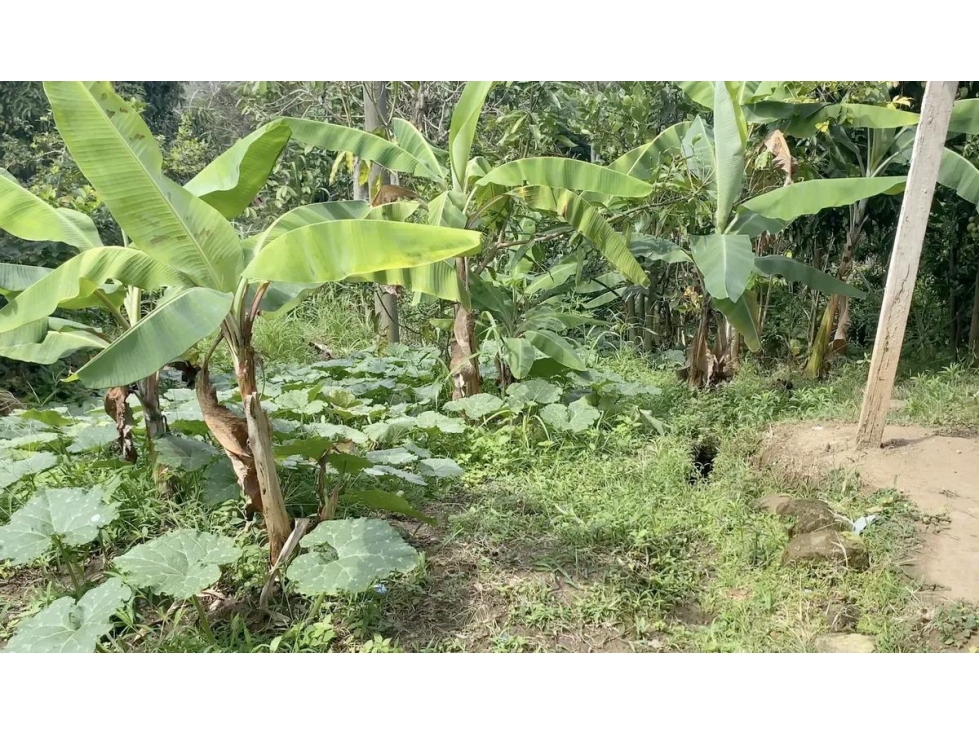 FINCA ARBELAEZ - 5