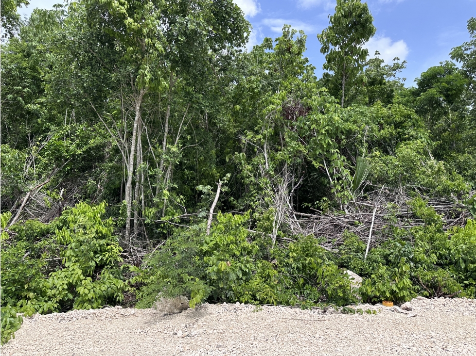 Venta de Terreno Ejidal en Zona Sur de Cancún