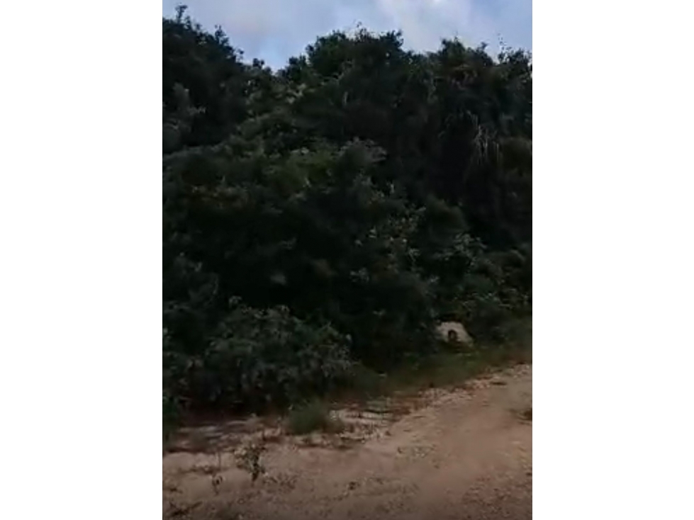 Venta de terreno en xpu ha, Playa del Carmen Quintana roo - 2