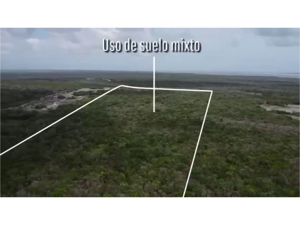 VENTA TERRENO 50 HECTAREAS COSTA MUJERES — foto 3
