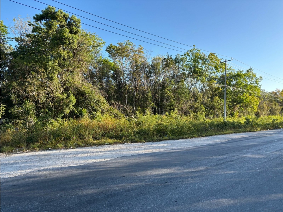VENTA EXCELENTE TERRENO SOBRE LA AV. LOPEZ PORTILLO - 4