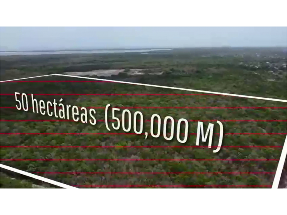 VENTA TERRENO 50 HECTAREAS COSTA MUJERES — foto 4