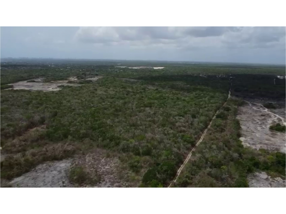 VENTA TERRENO 50 HECTAREAS COSTA MUJERES — foto 5