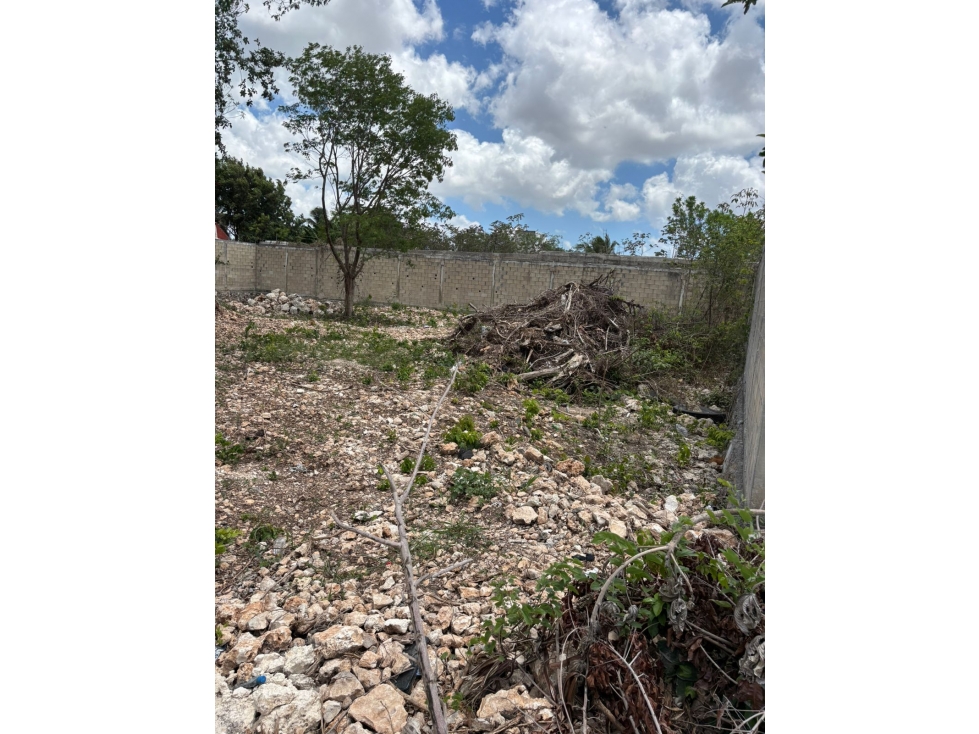 VENTA TERRENO SOBRE AV. 20 DE NOVIEMBRE , CANCUN — foto 5
