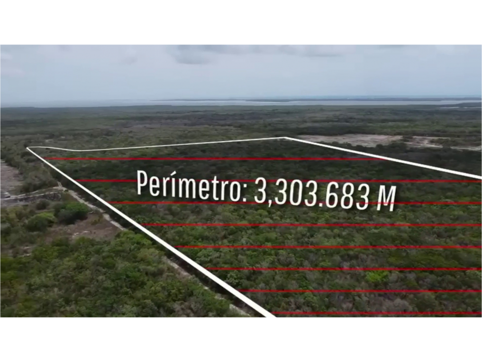 VENTA TERRENO 50 HECTAREAS COSTA MUJERES — foto 6