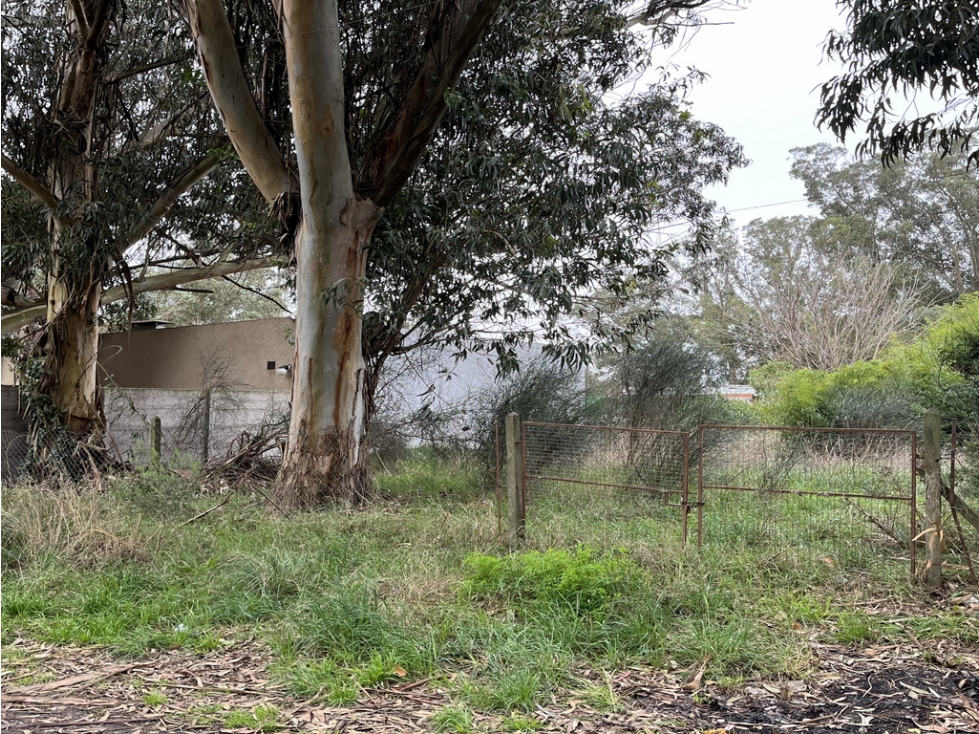 Lote en Costa Azul — foto 2