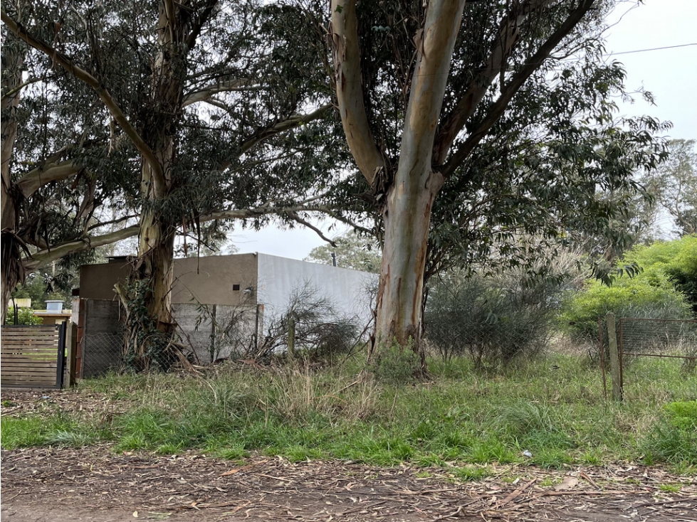 Lote en Costa Azul — foto 3