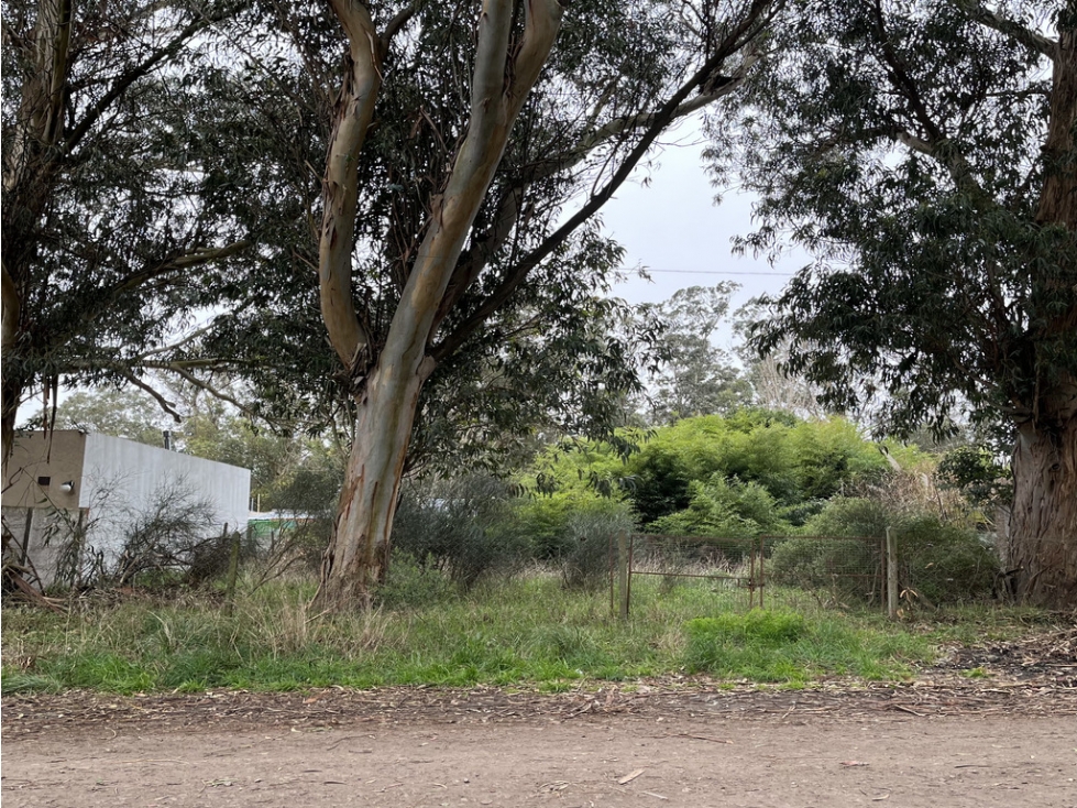 Lote en Costa Azul — foto 4