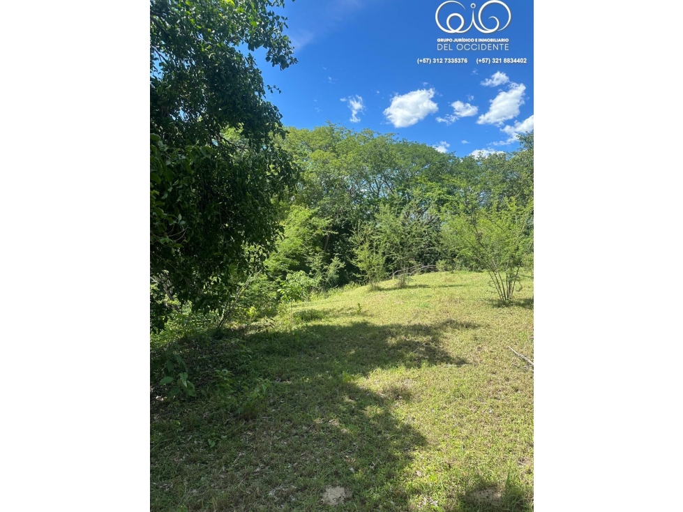 LOTE DE TERRENO EN TODA LA ENTRADA DE SOPETRÁN ANT