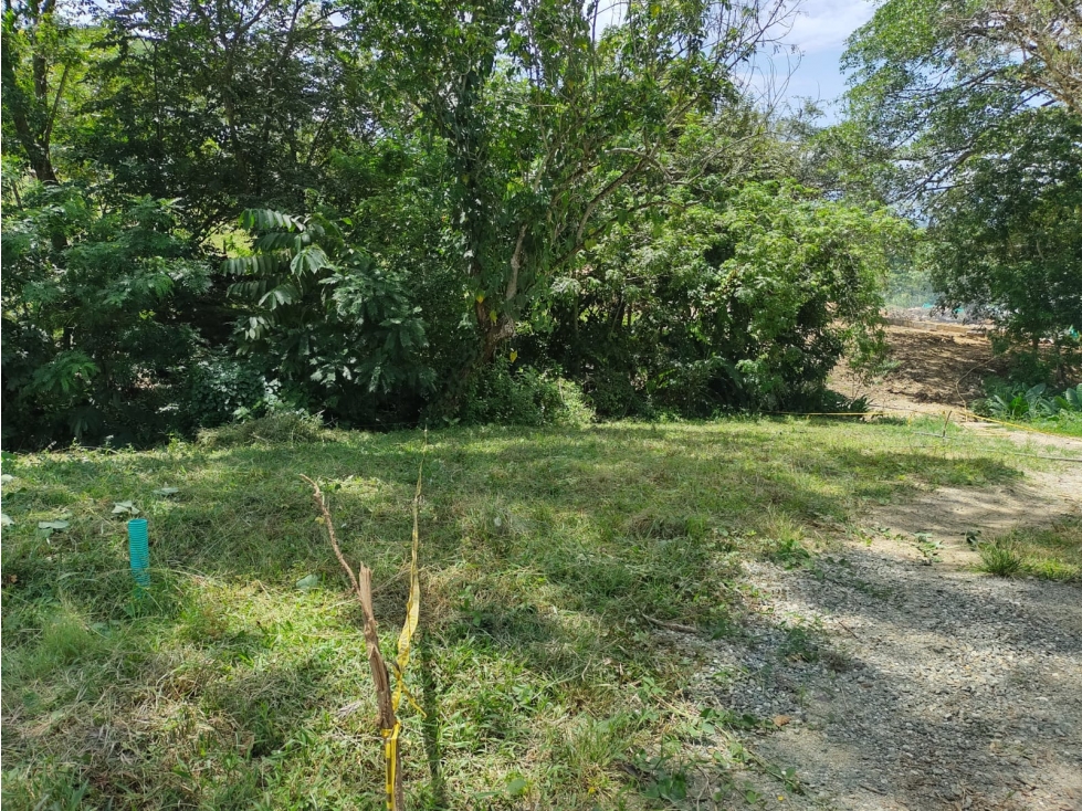 LOTE PARA LA VENTA EN SOPETRAN- ANT. / CONDOMINIO CAMPESTRE SOLARI — foto 6