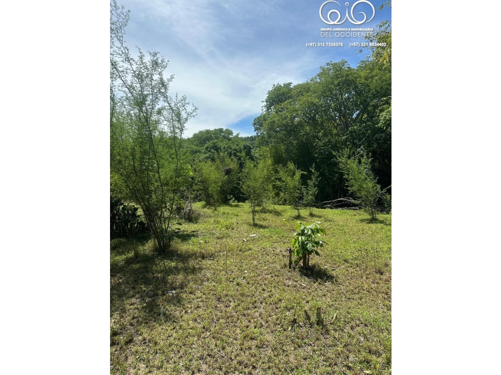 LOTE DE TERRENO EN TODA LA ENTRADA DE SOPETRÁN ANT — foto 2