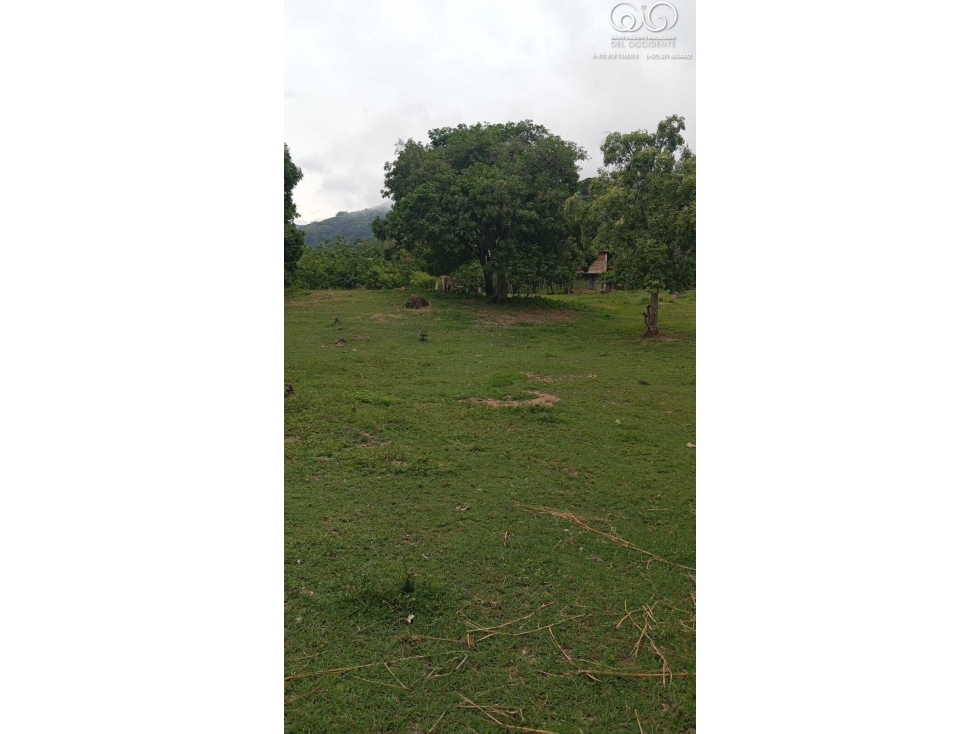 VENTA LOTE DE TERRENO SEMIPLANO VEREDA GUAIMARALA SOPETRÁN ANT — foto 2