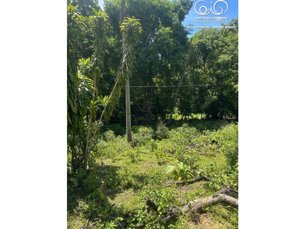 LOTE DE TERRENO EN TODA LA ENTRADA DE SOPETRÁN ANT — foto 3