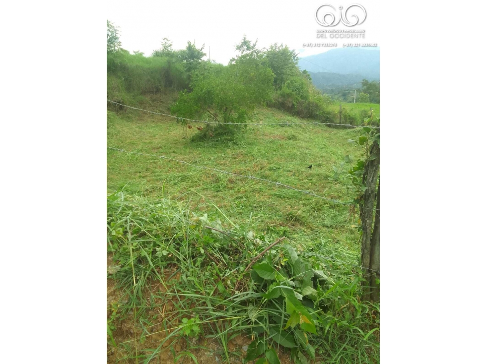 LOTE CONDOMINIO SOPETRÁN LLANO DE MONTAÑA RESERVA VILLAS CAMPESTRES — foto 3