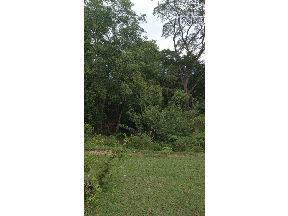 VENTA LOTE DE TERRENO SEMIPLANO VEREDA GUAIMARALA SOPETRÁN ANT — foto 3