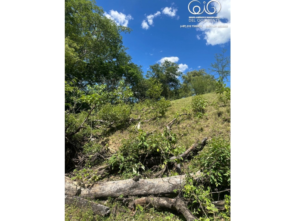 LOTE DE TERRENO EN TODA LA ENTRADA DE SOPETRÁN ANT — foto 4