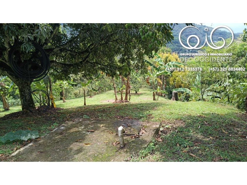 FINCA UBICADA EN EL MUNICIPIO DE SOPETRÁN ANT VEREDA SANTA RITA. — foto 5