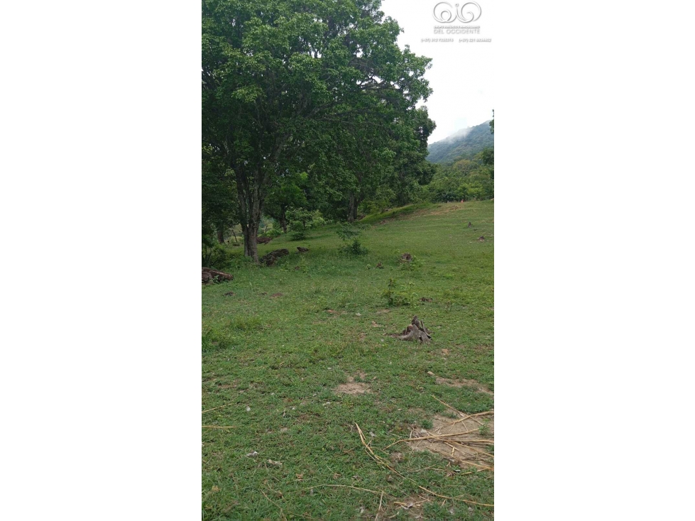 VENTA LOTE DE TERRENO SEMIPLANO VEREDA GUAIMARALA SOPETRÁN ANT — foto 4