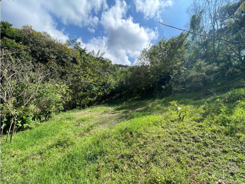LOTE DE TERRENO RURAL VEREDA SANTANDER EBÉJICO ANTIOQUIA — foto 4