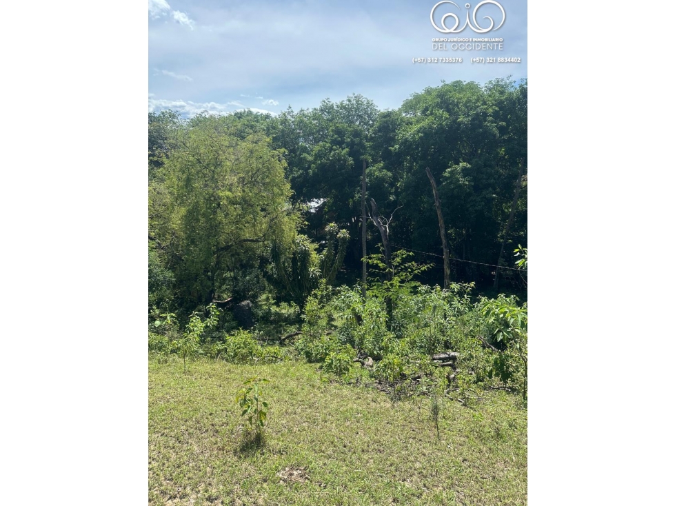 LOTE DE TERRENO EN TODA LA ENTRADA DE SOPETRÁN ANT — foto 5