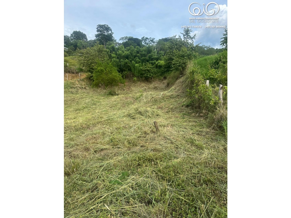 LOTE CONDOMINIO SOPETRÁN LLANO DE MONTAÑA RESERVA VILLAS CAMPESTRES — foto 5