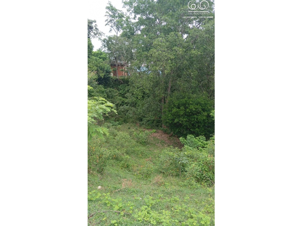 VENTA LOTE DE TERRENO SEMIPLANO VEREDA GUAIMARALA SOPETRÁN ANT — foto 5