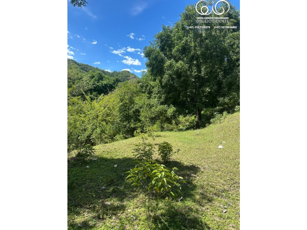LOTE DE TERRENO EN TODA LA ENTRADA DE SOPETRÁN ANT — foto 6