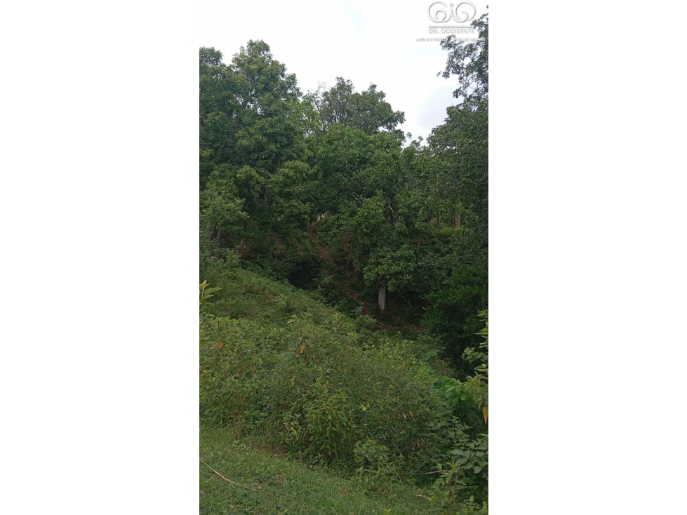 VENTA LOTE DE TERRENO SEMIPLANO VEREDA GUAIMARALA SOPETRÁN ANT — foto 6