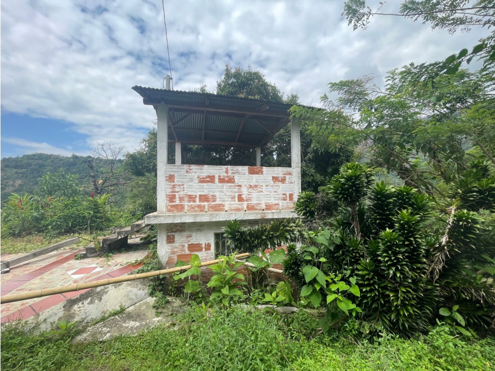 LOTE DE TERRENO RURAL VEREDA SANTANDER EBÉJICO ANTIOQUIA — foto 6