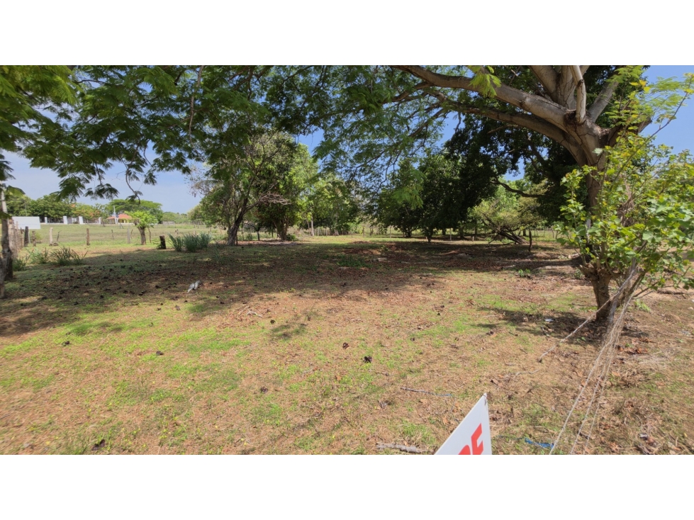 Lote en Venta Playa Los Guayaberos, Santa Ana, Los Santos - 3