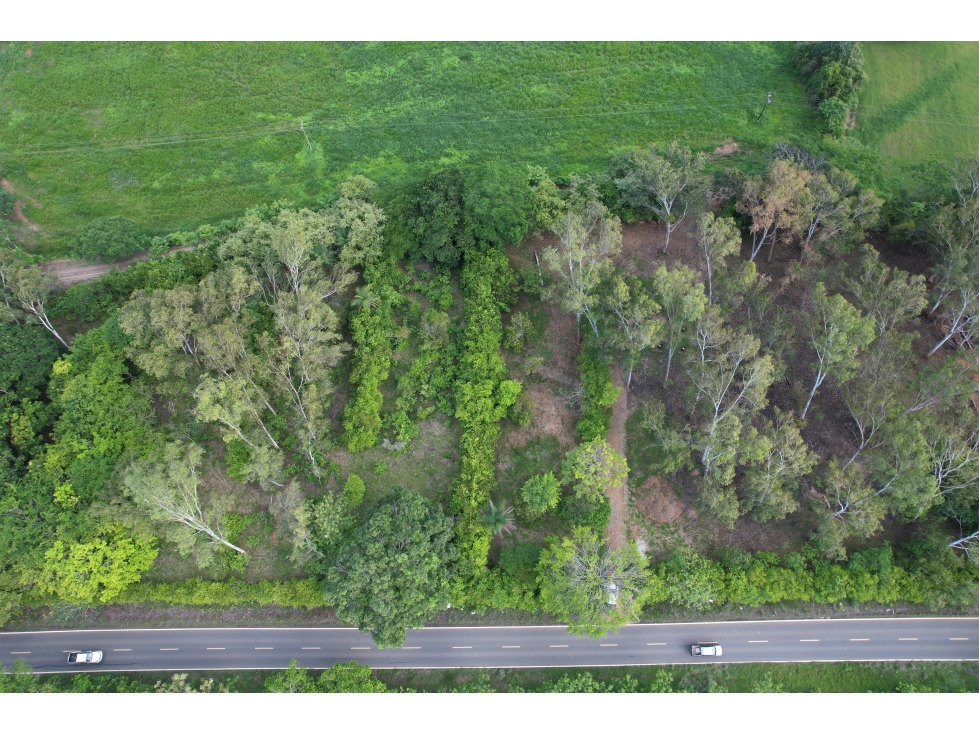 Lote para Construcción o Desarrollo El Limón, Pedasi, Panama - 1