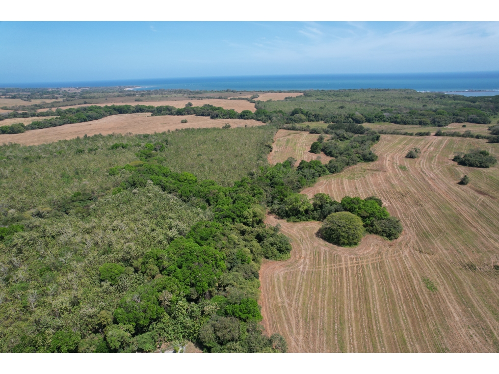Gran Lote Campestre Listo para Construir, Pedasi, Panama - 1