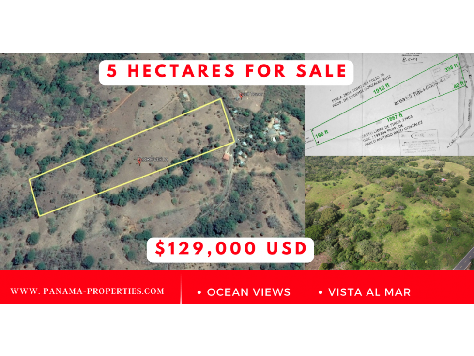 Terreno de Producción Agrícola, 5 Ha., en Los Pozos Playa Venao. - 1