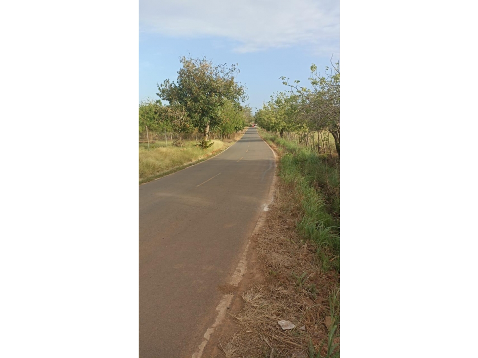 Terreno en Venta de 9.76 hectareas, Monagrillo Panama - 3