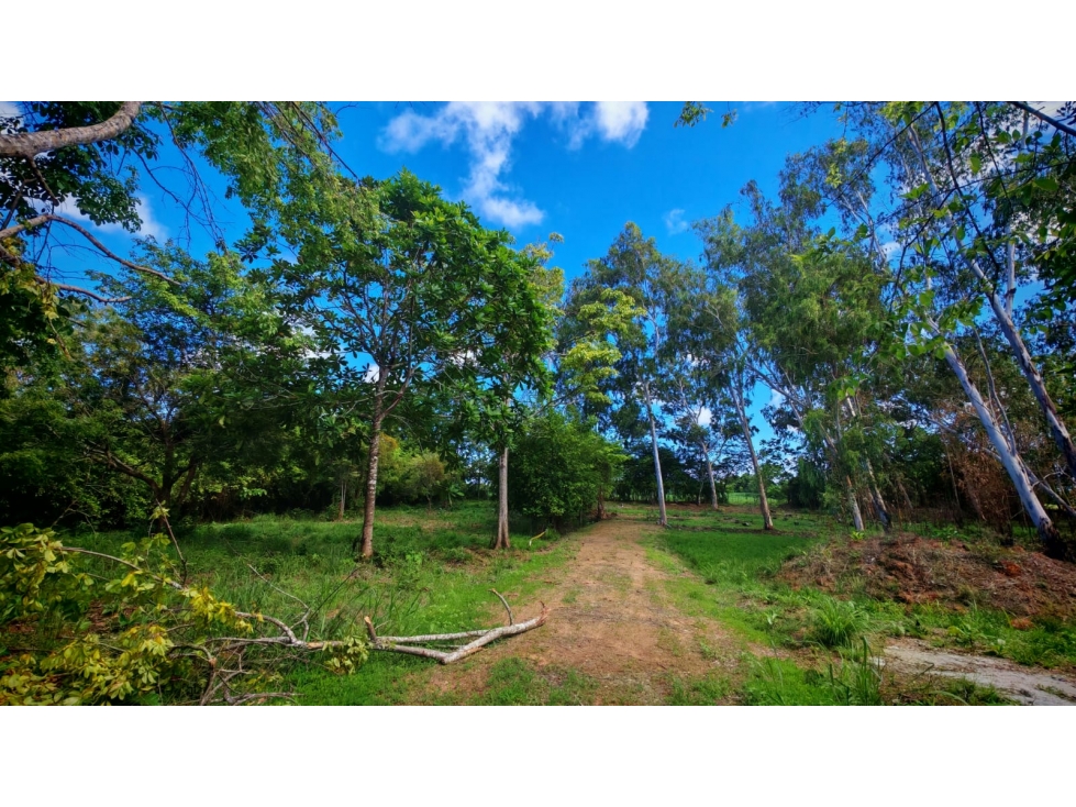 Lote para Construcción o Desarrollo El Limón, Pedasi, Panama - 5