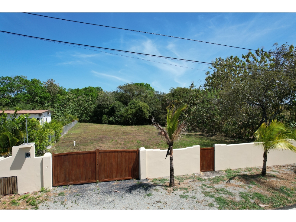 Gran Lote Campestre Listo para Construir, Pedasi, Panama - 4
