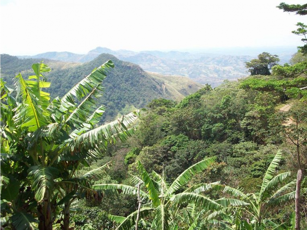 7.6 Hect. en Altura con Vista al Océano, Fortuna, Gualaca, Chiriquí - 2