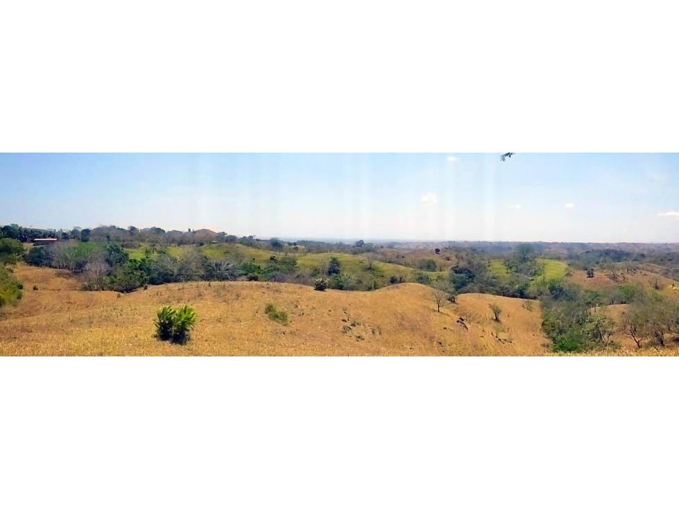 Terreno de Producción Agrícola, 5 Ha., en Los Pozos Playa Venao. - 4