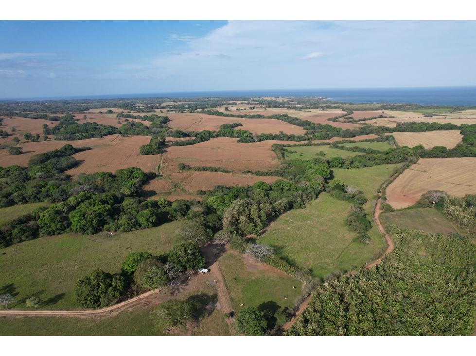 Excelente terreno, listo para construir en Pedasí, Punta Mala - 2