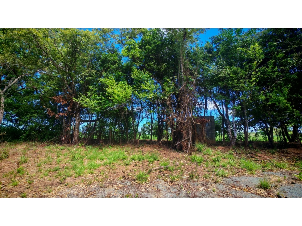 Lote para Construcción o Desarrollo El Limón, Pedasi, Panama - 6