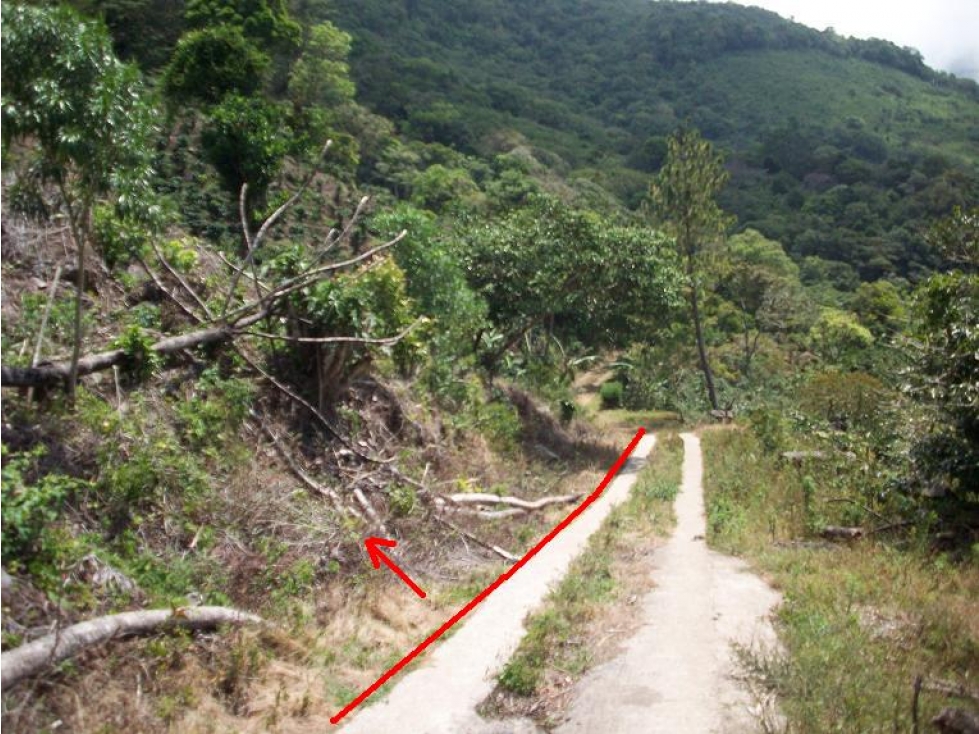 7.6 Hect. en Altura con Vista al Océano, Fortuna, Gualaca, Chiriquí - 3