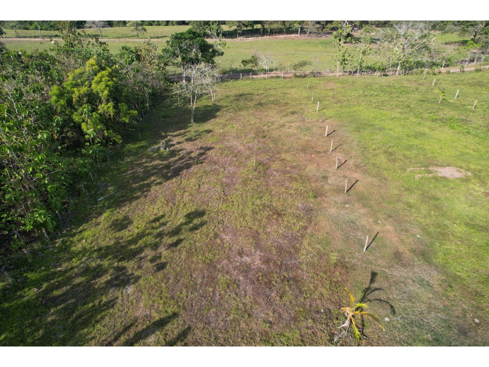 Excelente terreno, listo para construir en Pedasí, Punta Mala - 3