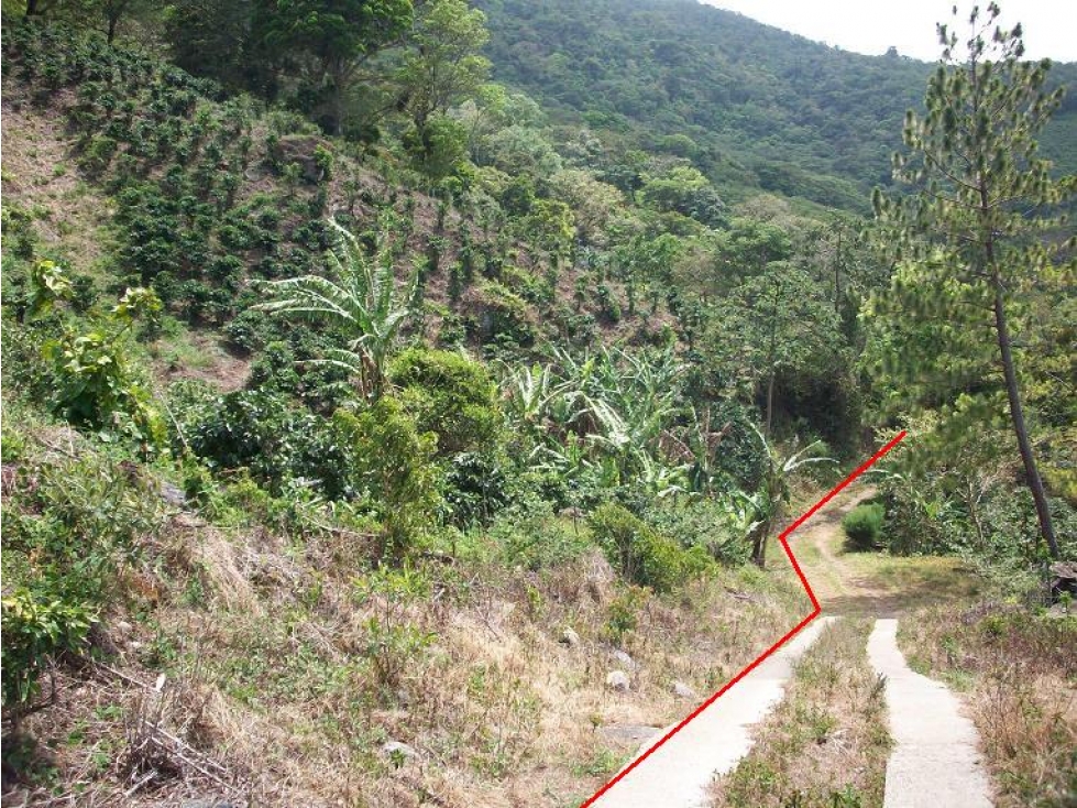 7.6 Hect. en Altura con Vista al Océano, Fortuna, Gualaca, Chiriquí - 4