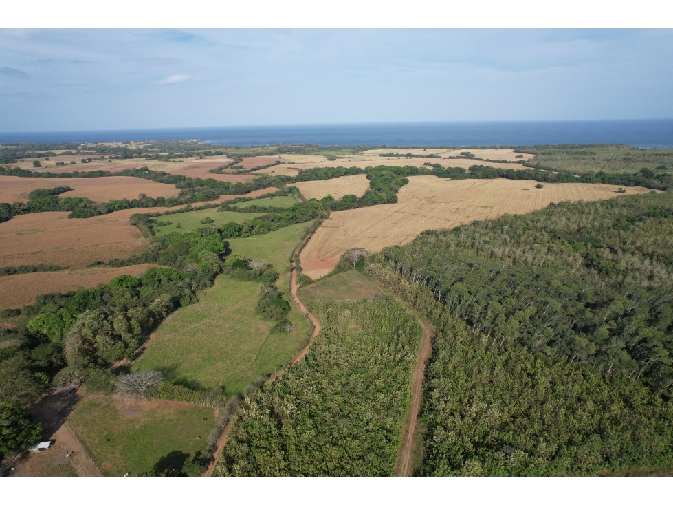 Excelente terreno, listo para construir en Pedasí, Punta Mala - 4