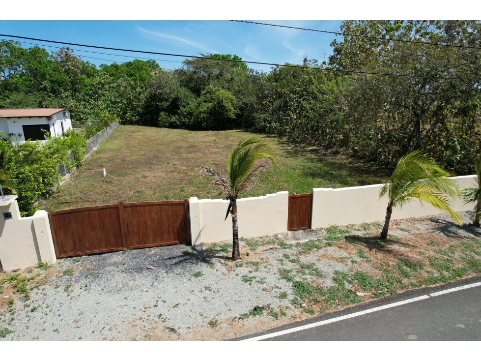 Gran Lote Campestre Listo para Construir, Pedasi, Panama - 5